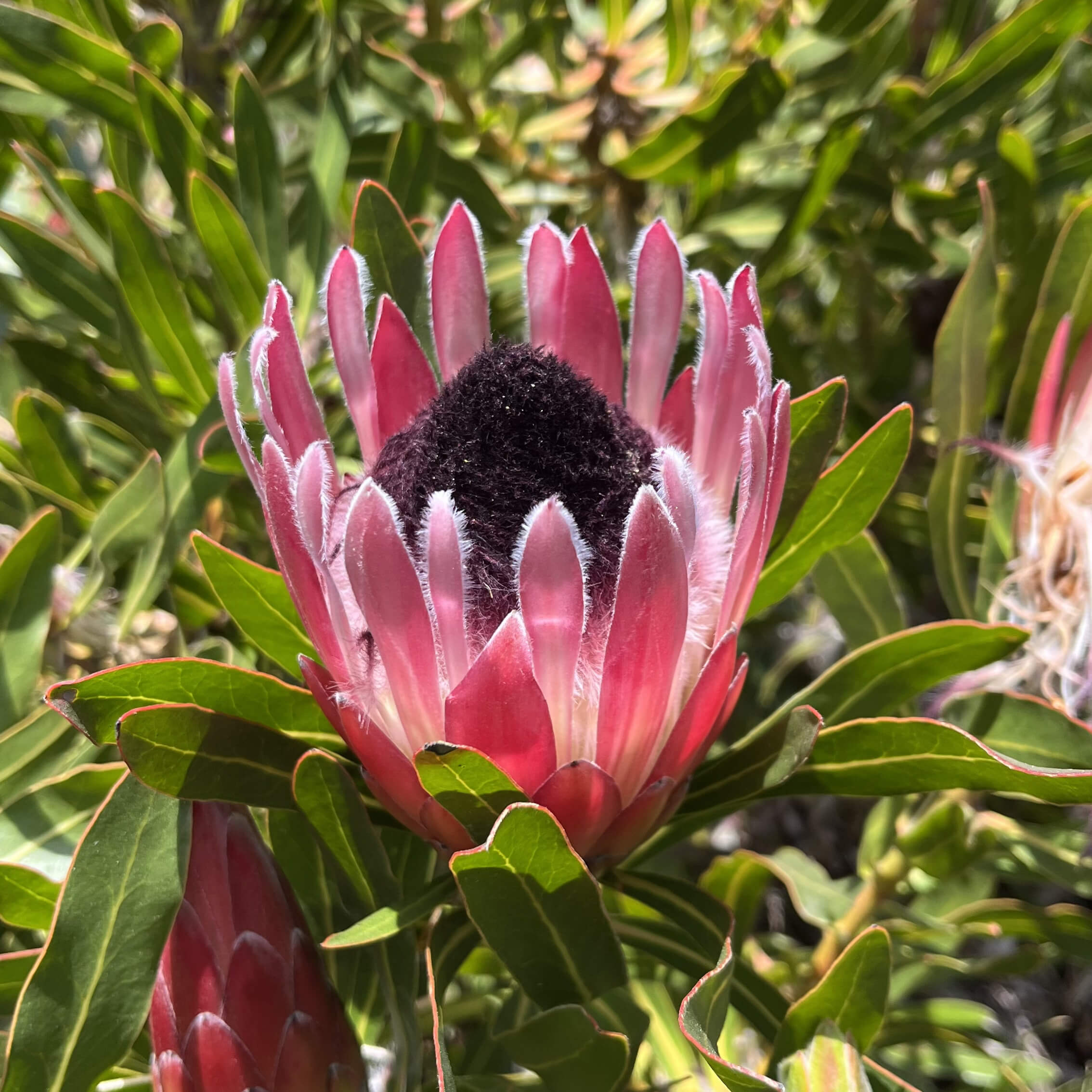 Whole Punching 2024 roundup